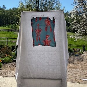 Red Lobster Pillow Case